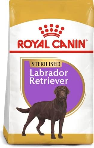 Royal Canin Labrador